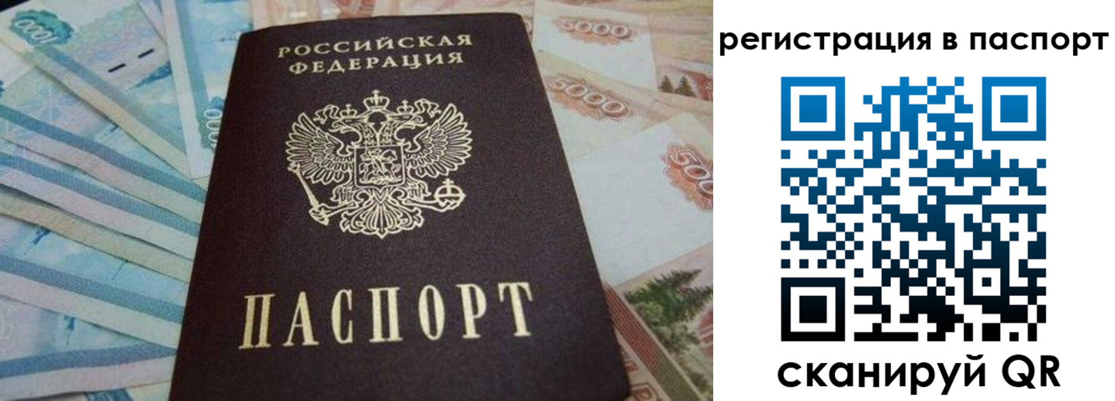 временная регистрация в квартире в Приморском крае